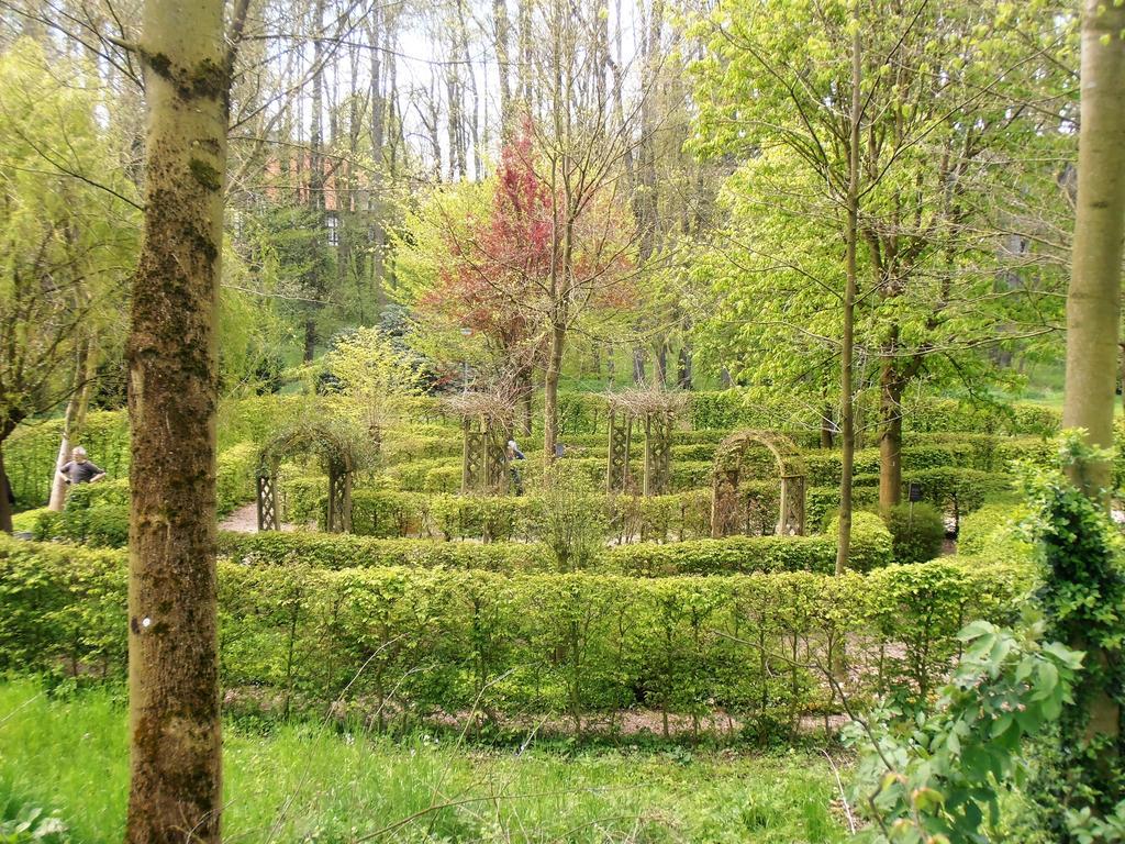 Gasthaus Schadde Vlotho Zewnętrze zdjęcie