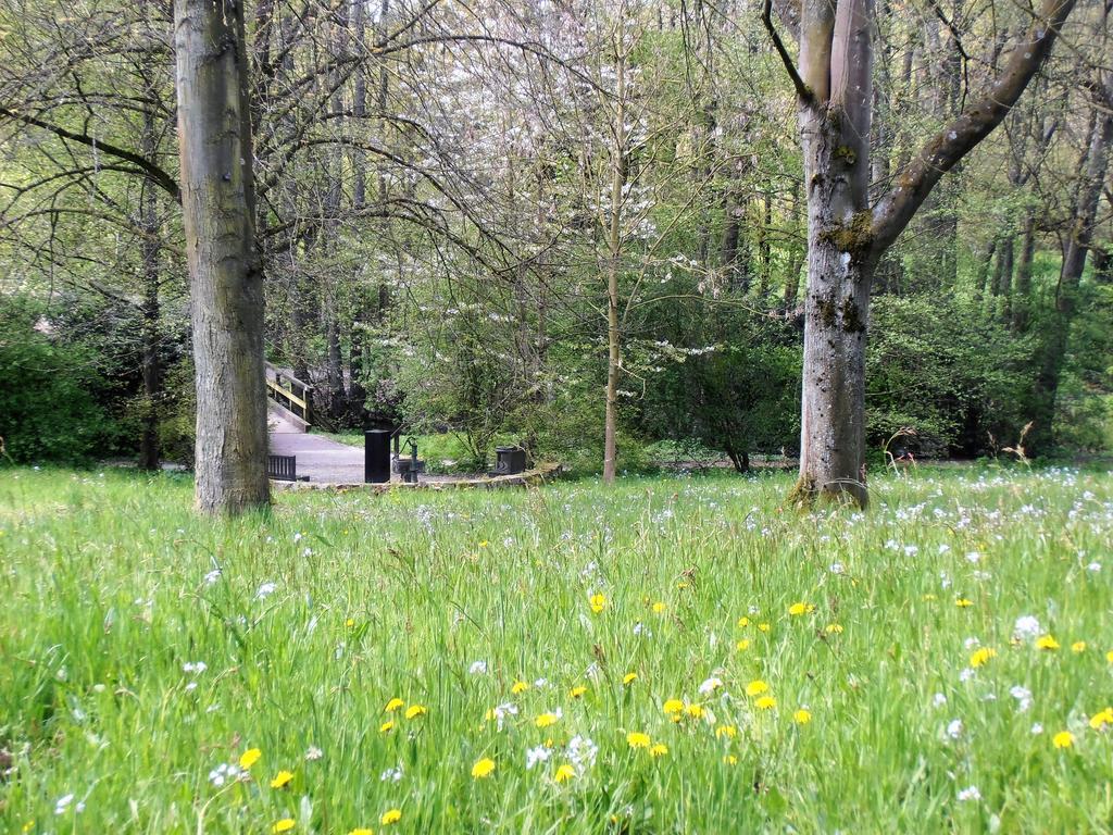 Gasthaus Schadde Vlotho Zewnętrze zdjęcie